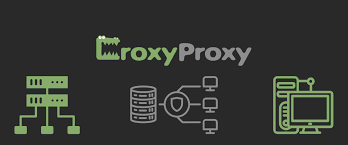 CroxyProxy: Unmasking the Anonymous Web Surfing Tool